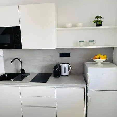 Apartment Tajnikov